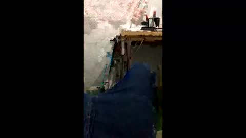 lucasgandraa online show from November 9, 3:10 am