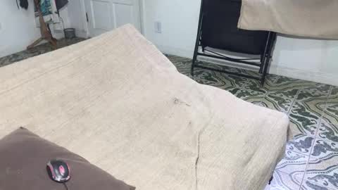 lucifer_curious online show from January 5, 8:45 pm