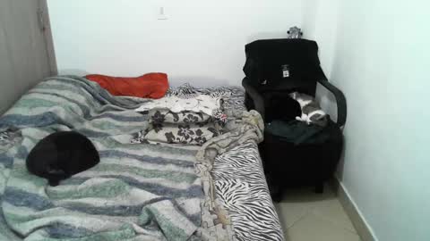 Lucky online show from March 12, 2:31 am