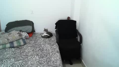 Lucky online show from February 5, 12:10 am