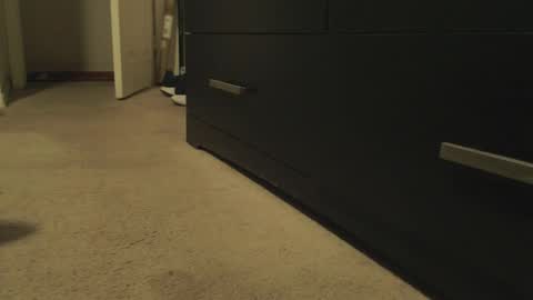 LUGO online show from April 11, 9:13 am