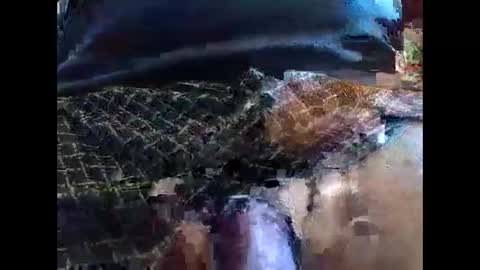 Snapshot of lutorres chatting on September 10, 11:42 am lutorres online show from September 10, 11:42 am