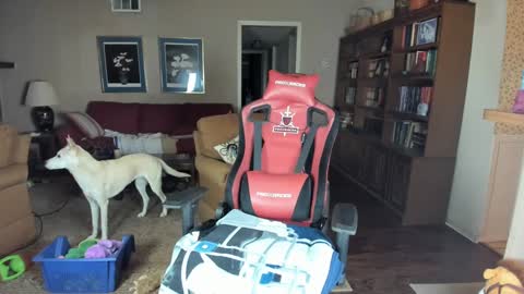 machinecumkelly69 online show from January 18, 3:02 am