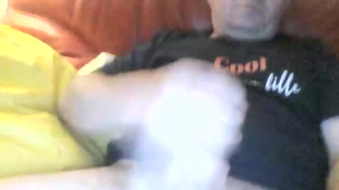 magicman250 online show from January 14, 6:29 am