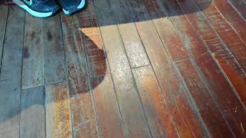 marcovitto online show from February 21, 8:54 pm