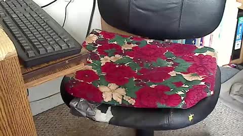 MarioDavidAndybros online show from February 2, 8:30 pm