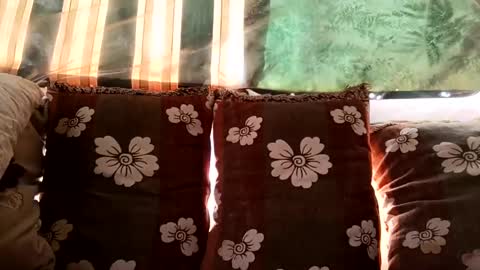 marocreda33 online show from January 24, 11:04 am