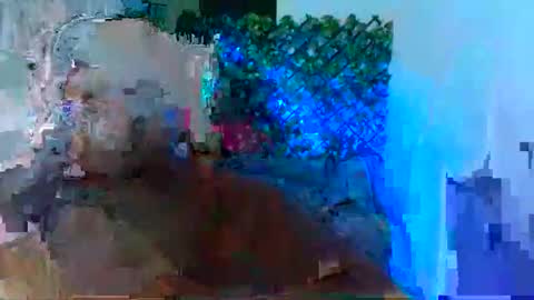 master_juju1924 online show from January 12, 2:48 am