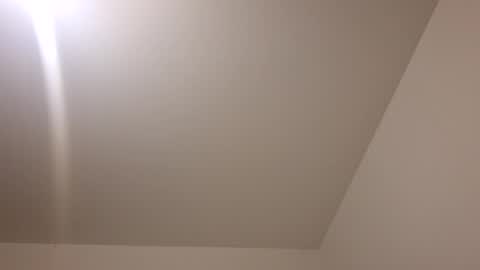 max_0737 online show from January 11, 6:54 pm