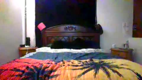 Max online show from February 17, 3:22 pm