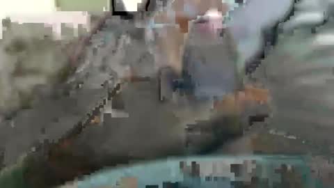 mcpenny online show from February 8, 1:22 pm