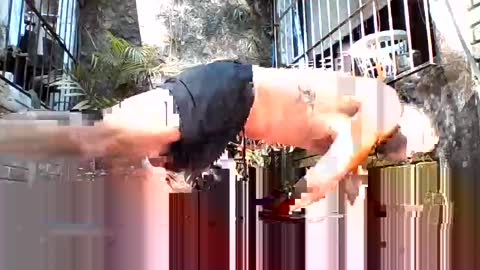 KinkMEXpig online show from February 26, 10:11 pm