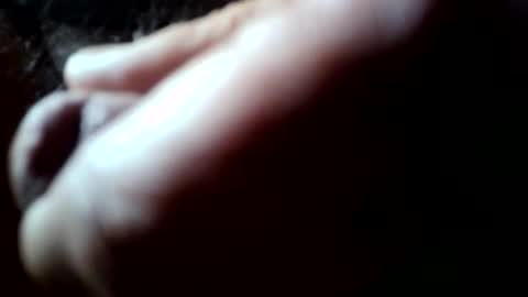 midlomale online show from December 5, 8:16 pm