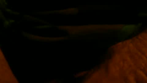 mikeyd1a online show from February 20, 10:27 am