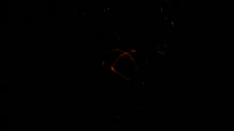 Snapshot of mip05 chatting on January 8, 3:08 am mip05 online show from January 8, 3:08 am