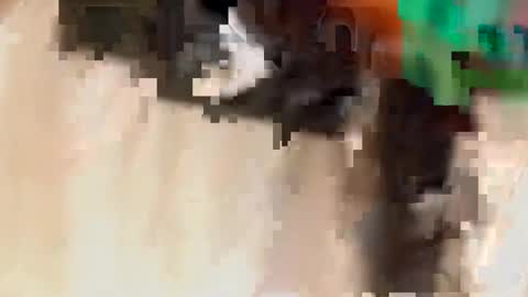 miyawhitexxx online show from January 8, 12:10 pm