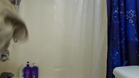 mnathanc online show from December 20, 4:36 pm