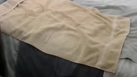 montydxxx2 online show from February 17, 3:55 pm