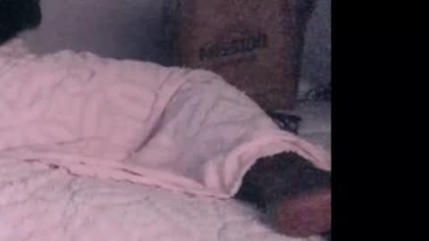 montydxxx2 online show from February 3, 6:40 am