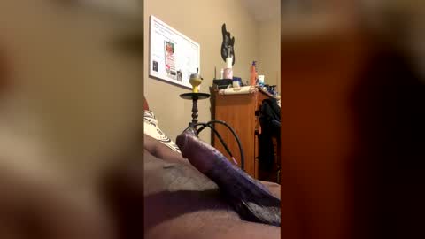 mortare online show from January 9, 7:35 am