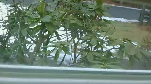 mrbrigggs online show from January 14, 12:21 pm