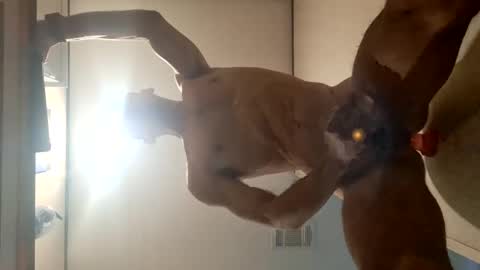 mrfatcock420509819 online show from March 6, 2:40 pm