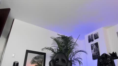 Snapshot of mrfrank_tattoo chatting on December 21, 3:42 pm MrFrank. online show from December 21, 3:42 pm