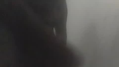 MyBBCfeedsslutscuck online show from December 5, 1:07 pm