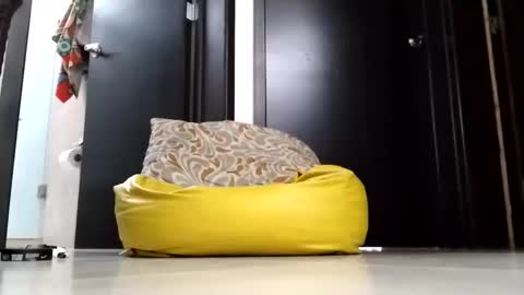 nak3d_lif3 online show from April 1, 12:12 am