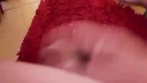 BookWriter online show from November 20, 7:18 am