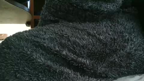 nineinchhard online show from November 20, 8:57 am