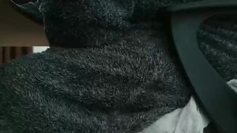 nineinchhard online show from November 6, 10:29 am