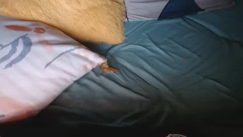 Noah B online show from December 30, 9:16 am