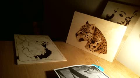 norbertopl87 online show from January 8, 1:11 am