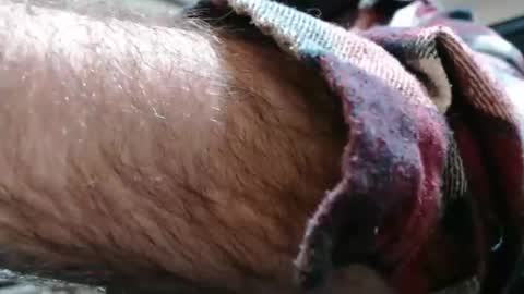 not_me_420 online show from March 31, 3:58 pm