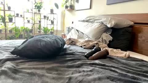 notapouta online show from March 3, 8:07 pm