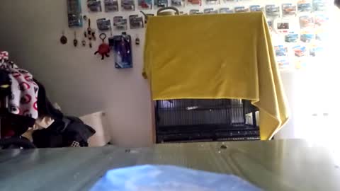 orlandovilla48 online show from November 4, 12:17 pm