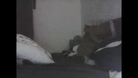 Orm93 online show from December 21, 11:40 am