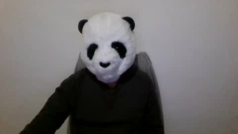 Panda online show from December 7, 7:10 pm