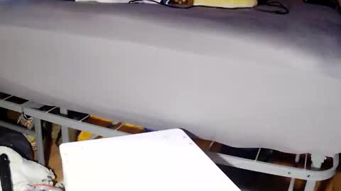 papabearbackdoor online show from February 3, 7:35 am