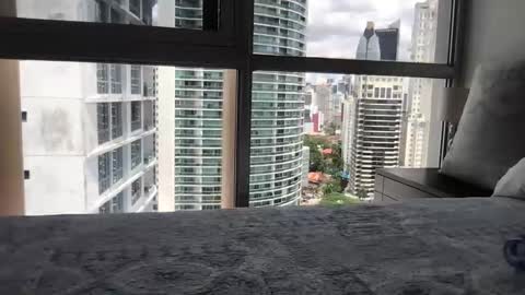 Paradise Bird01 online show from March 15, 5:30 pm