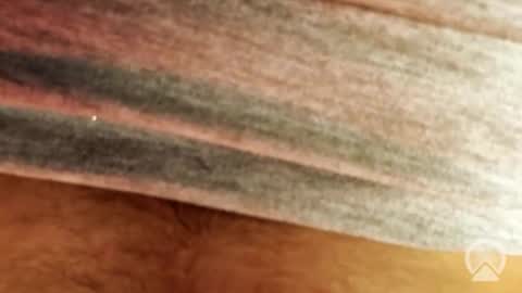 passaporter online show from September 26, 2:42 am