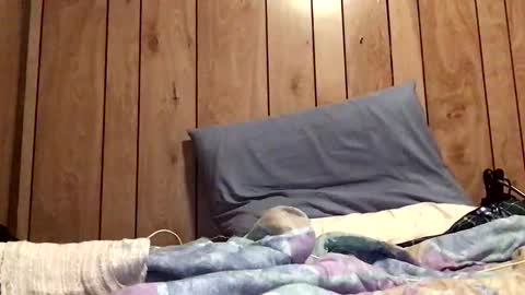 Hung sung Hero online show from January 30, 10:41 pm