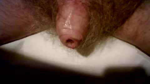 peterpeteropoulos online show from January 31, 8:33 pm