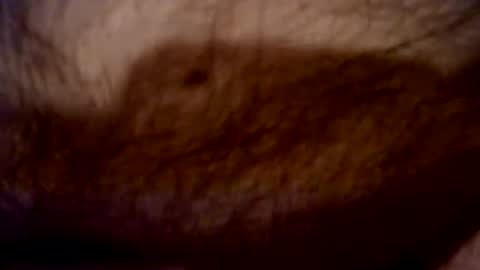 peterpeteropoulos online show from February 22, 8:15 pm