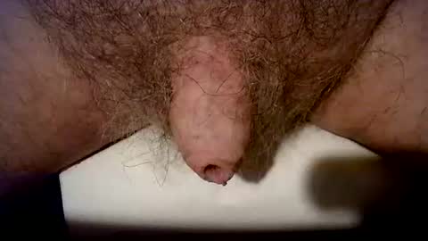 peterpeteropoulos online show from October 21, 6:44 pm