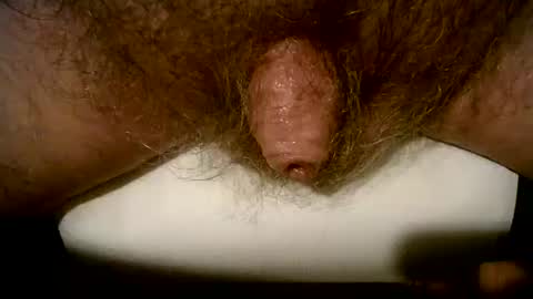 peterpeteropoulos online show from February 26, 7:58 pm