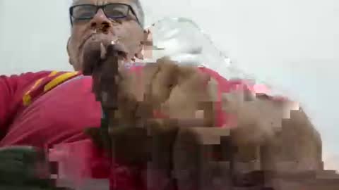 poli online show from February 22, 9:05 pm