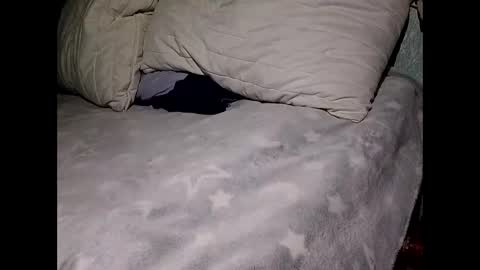 pollachico online show from November 28, 8:06 am