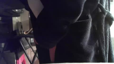 polle15 online show from February 12, 3:18 am